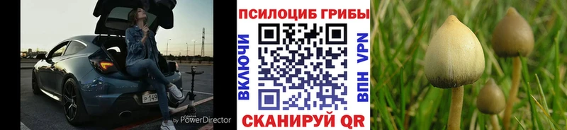 Галлюциногенные грибы GOLDEN TEACHER  что такое наркотик  Углегорск 